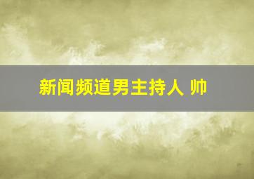 新闻频道男主持人 帅